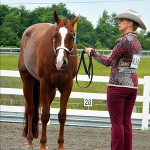 Meet your Posher, Alice